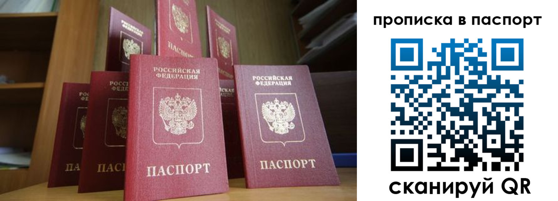 прописка законно в Новом Осколе